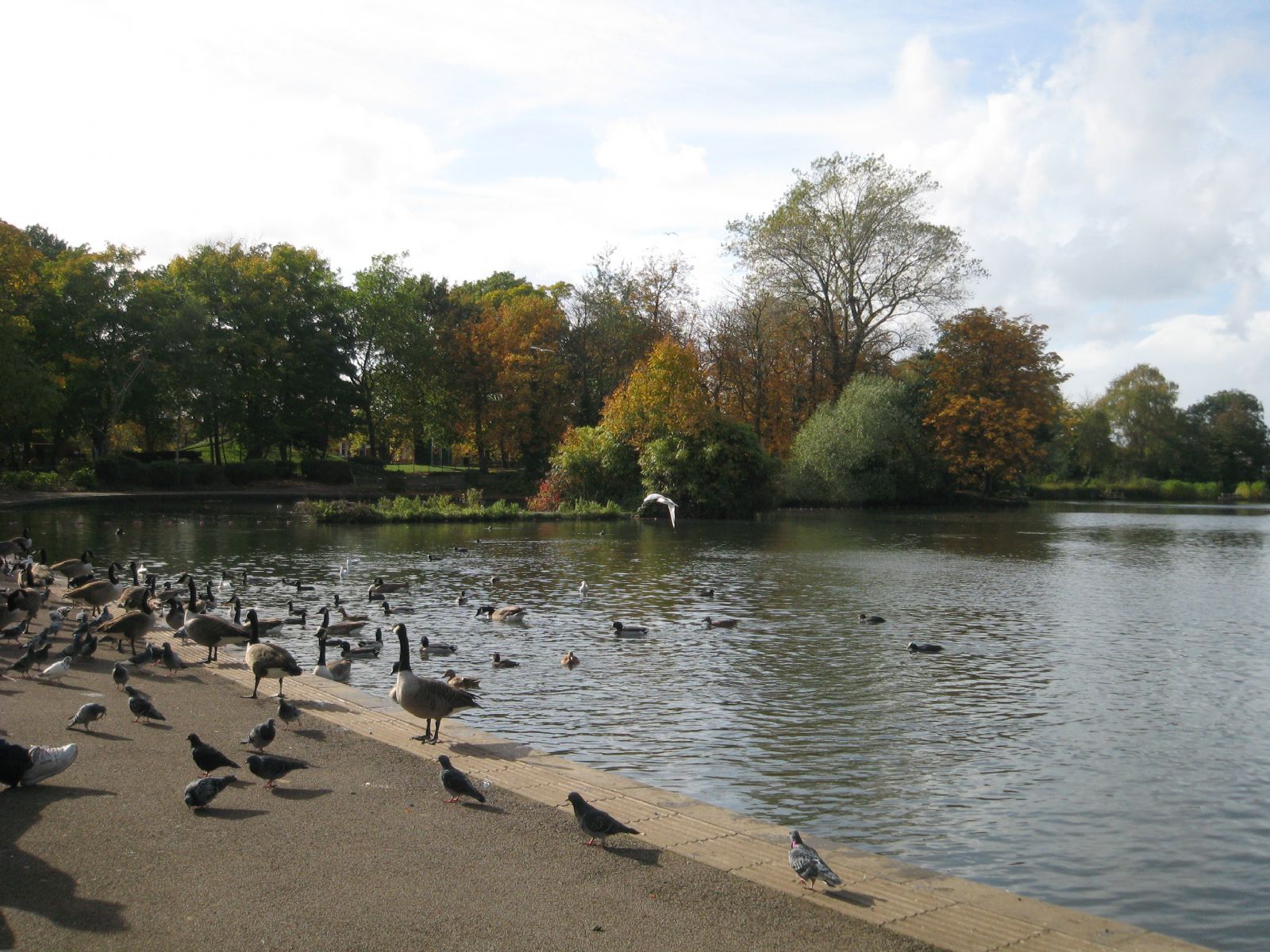 Alexandra Palace and Park